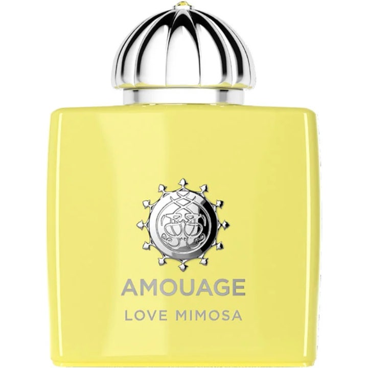 Love Mimosa