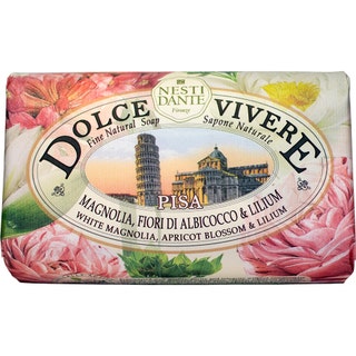 Nesti Dante Dolce Vivere Pisa