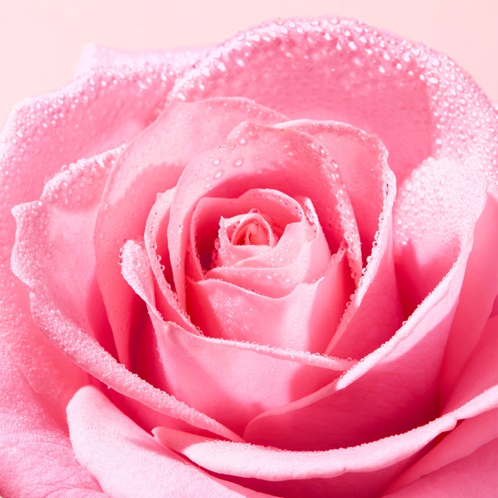 Very Rose Micellar Water