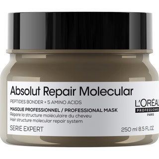 L'Oréal Professionnel Absolut Repair Molecular Rinse-off Mask