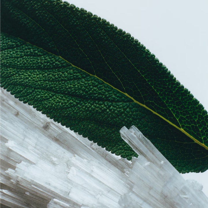Wood Sage & Sea Salt
