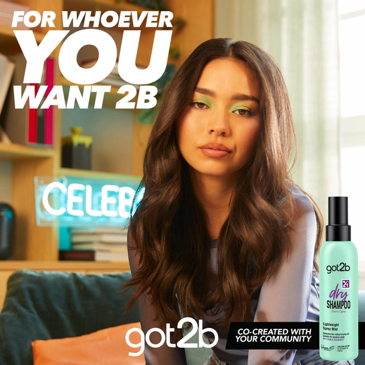 Dry Shampoo Mist